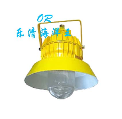 防暴平台灯，平台灯，防爆平台灯BPC8710